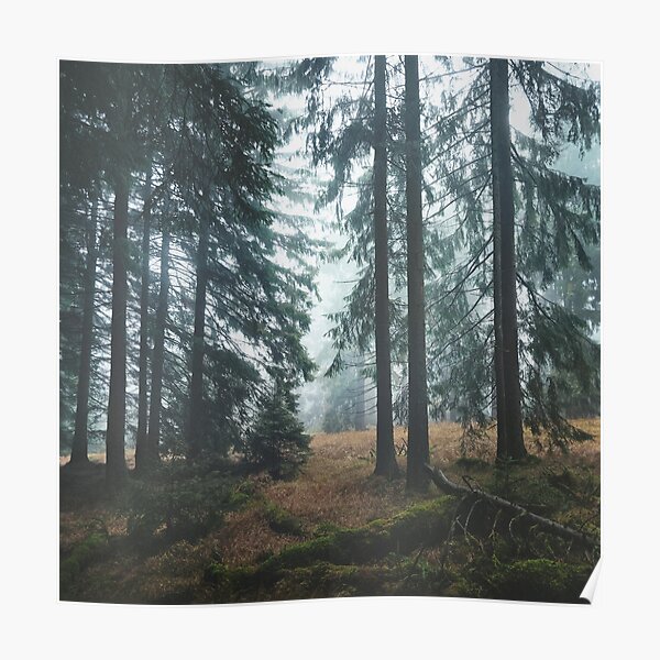 Deep In The Woods Poster