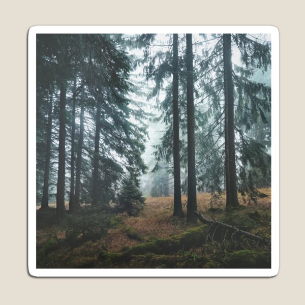 Deep In The Woods Magnet