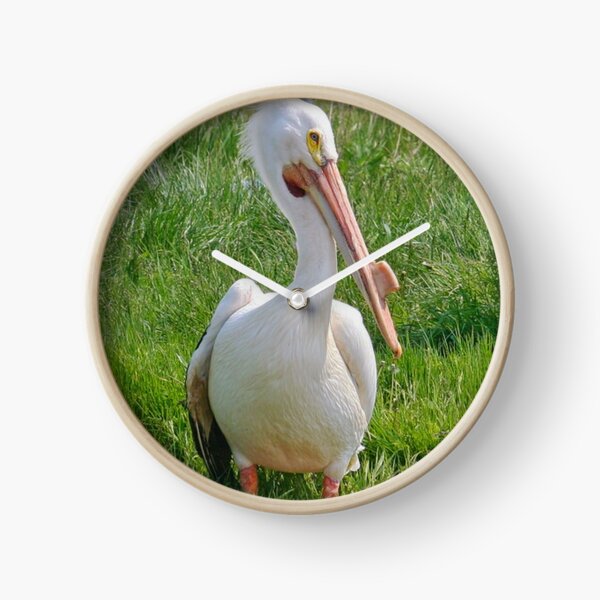Item preview, Pelican designed and sold by AnnDixon.