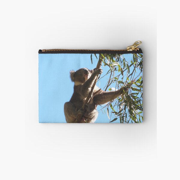 Item preview, Koala Stretching for the Best Leaf! Morialta Cons. Park. Foothills, Adelaide. Sth. Australia. designed and sold by RitaBlom.