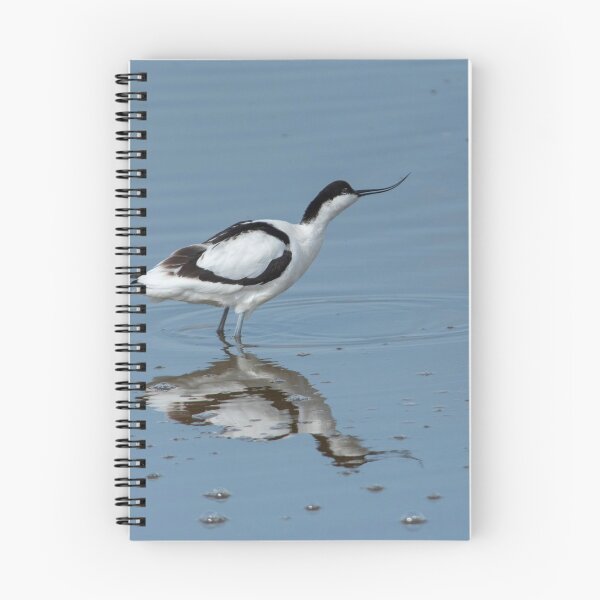 Item preview, Pied Avocet designed and sold by DonMc.