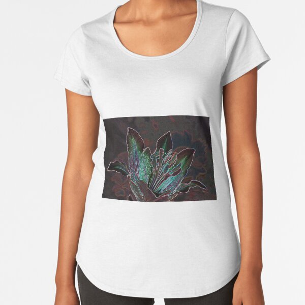 STAR GAZING II Premium Scoop T-Shirt