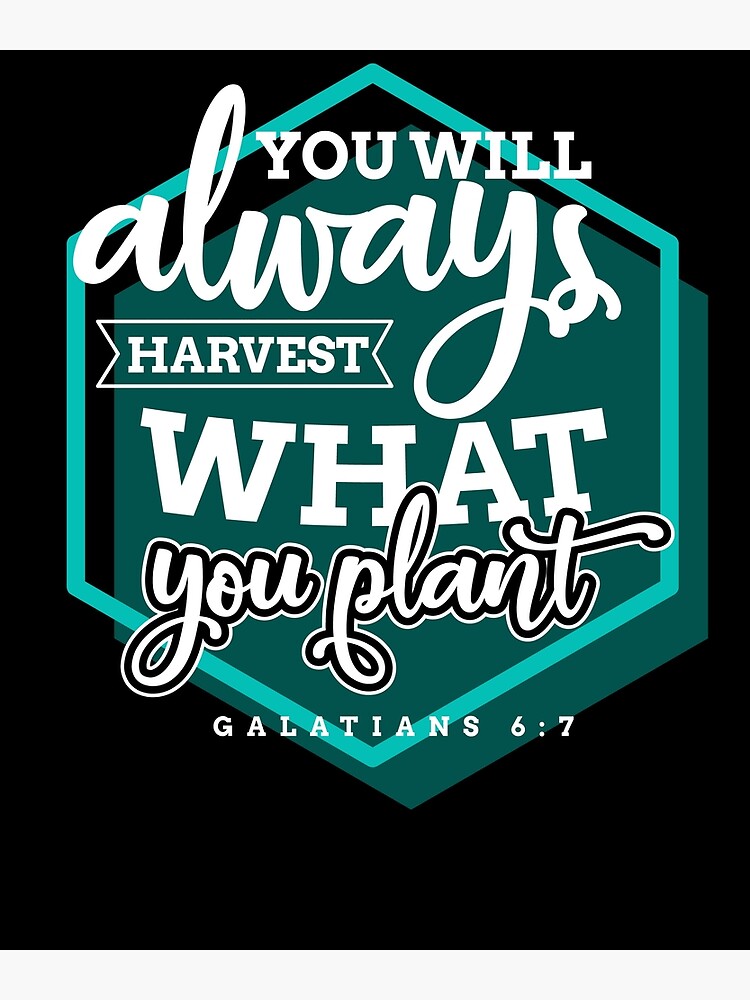 You Shall Reap What You Sow Scripture