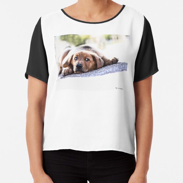 Puppet Dog Chiffon Top