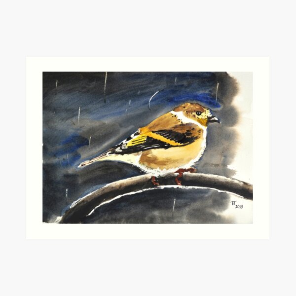 Small Bird Sheltering Storm Art Print