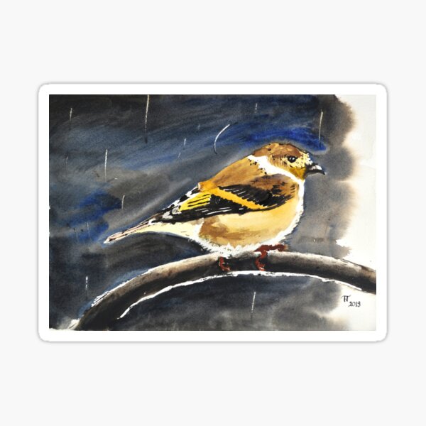 Small Bird Sheltering Storm Sticker