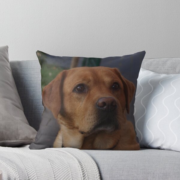 Item preview, Who?Me? designed and sold by Ianua.