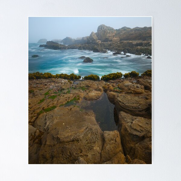Salt Point Surf & Rocks Poster