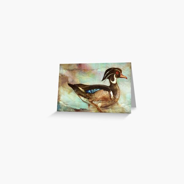 Wood Duck Greeting Card