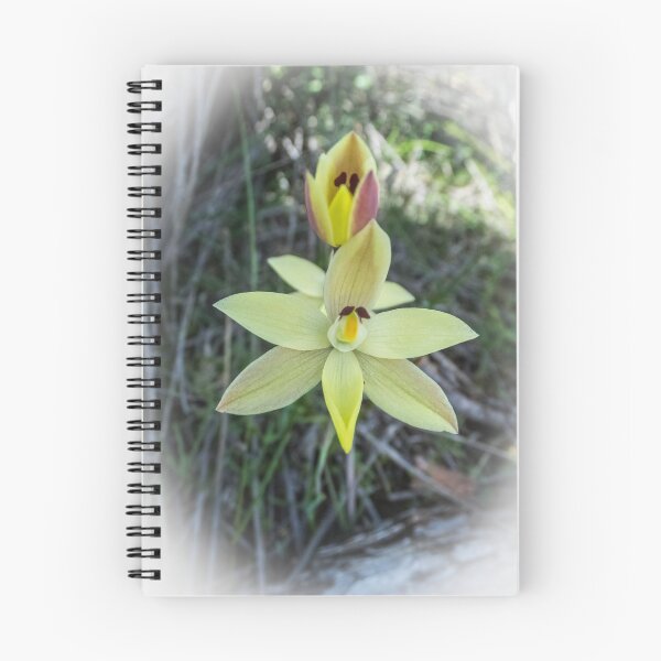 Item preview, Lemon Scented Sun Orchid designed and sold by JuliaKHarwood.