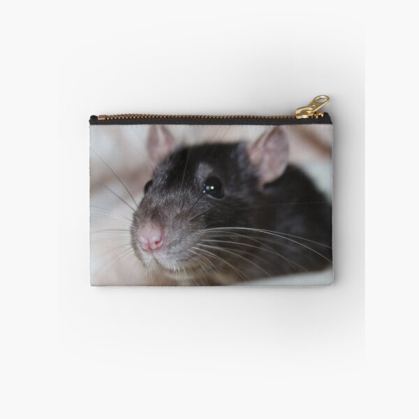Item preview, Meet a Champion designed and sold by AnnDixon.