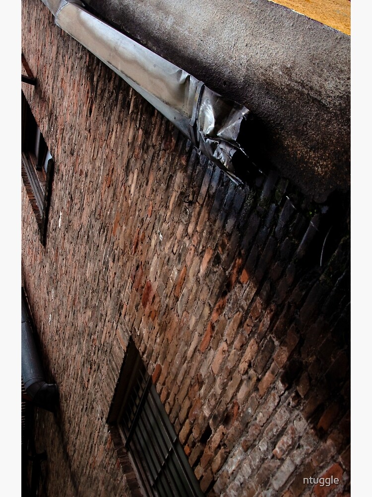 Industrial Brick and Drain by ntuggle