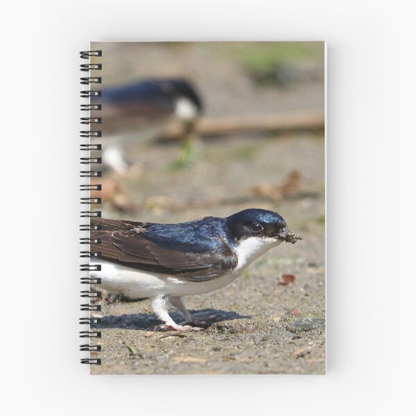 Item preview, Nesting house martins designed and sold by GreyFeatherPhot.