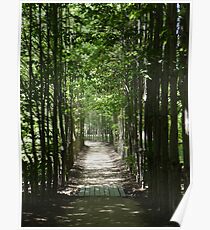 Peaceful Path Poster
