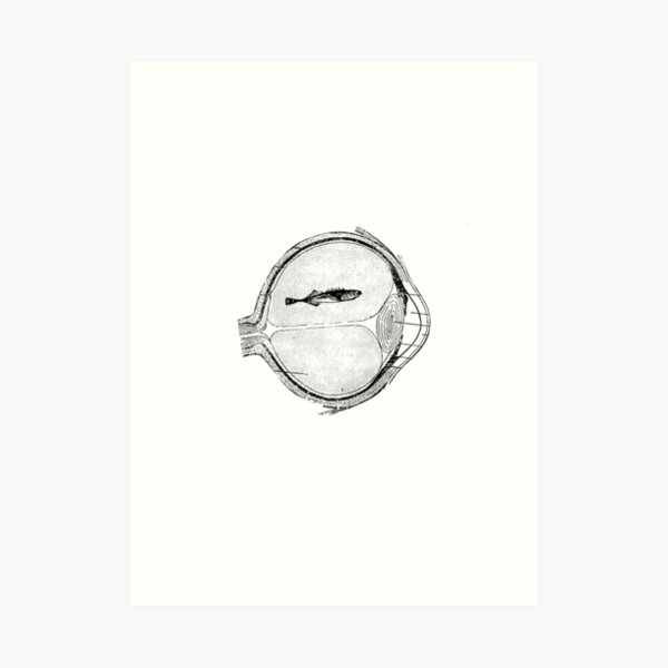 Fish Eye Art Print