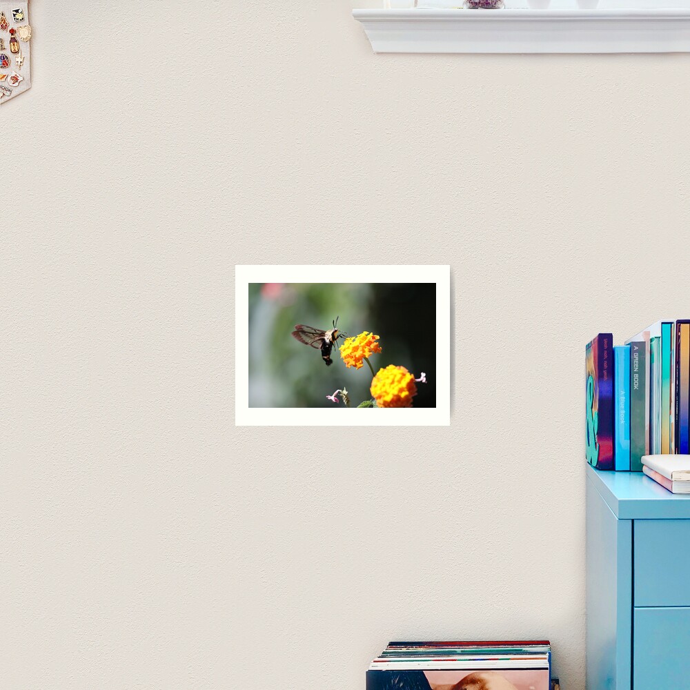 Item preview, Art Print designed and sold by Featherbrush.