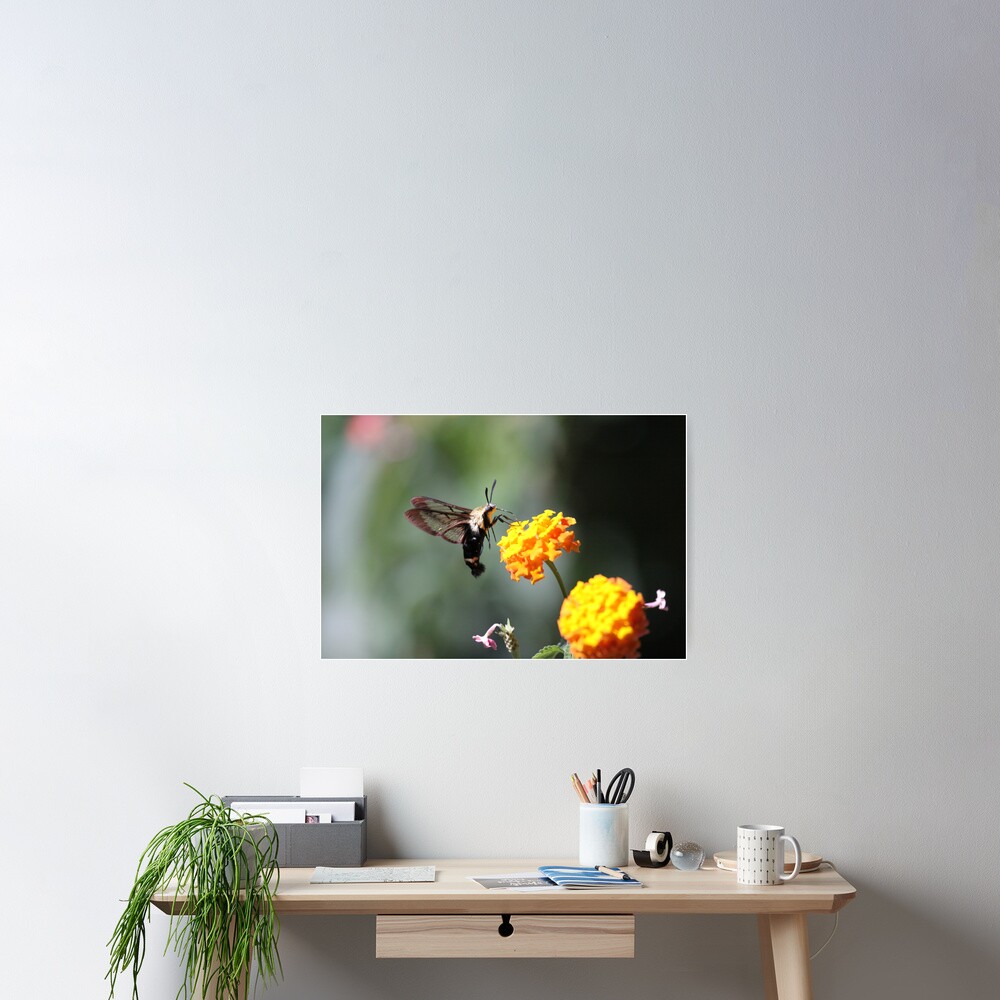 Item preview, Poster designed and sold by Featherbrush.