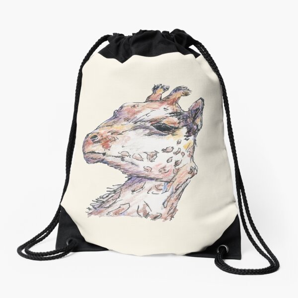 Drawstring Bag