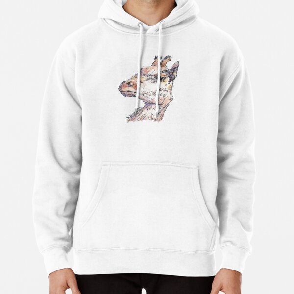Hoodie (Pullover)