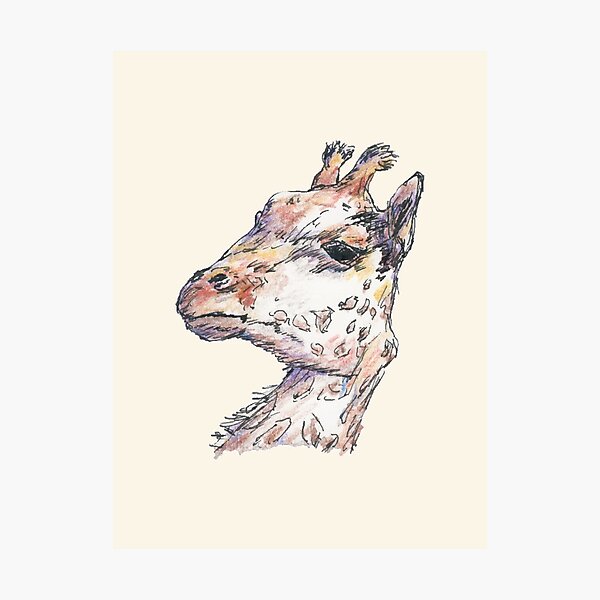 Photographic Print