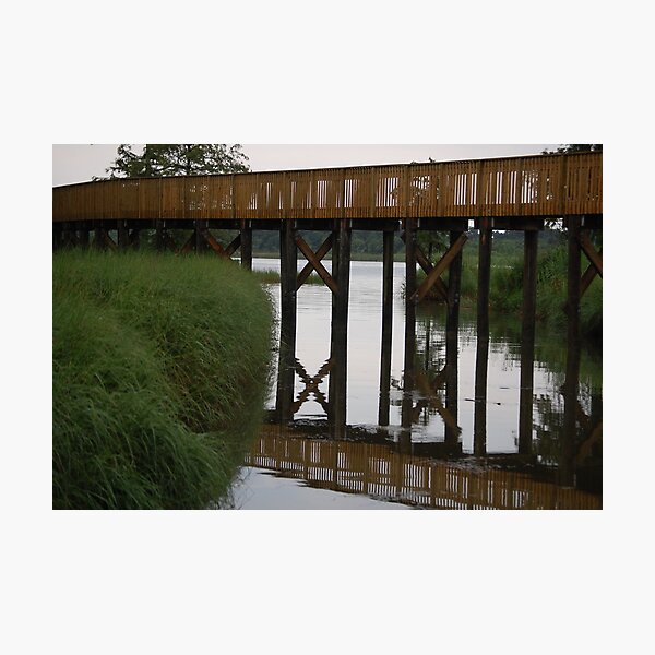 Item preview, Walkway to Nature designed and sold by zpawpaw.