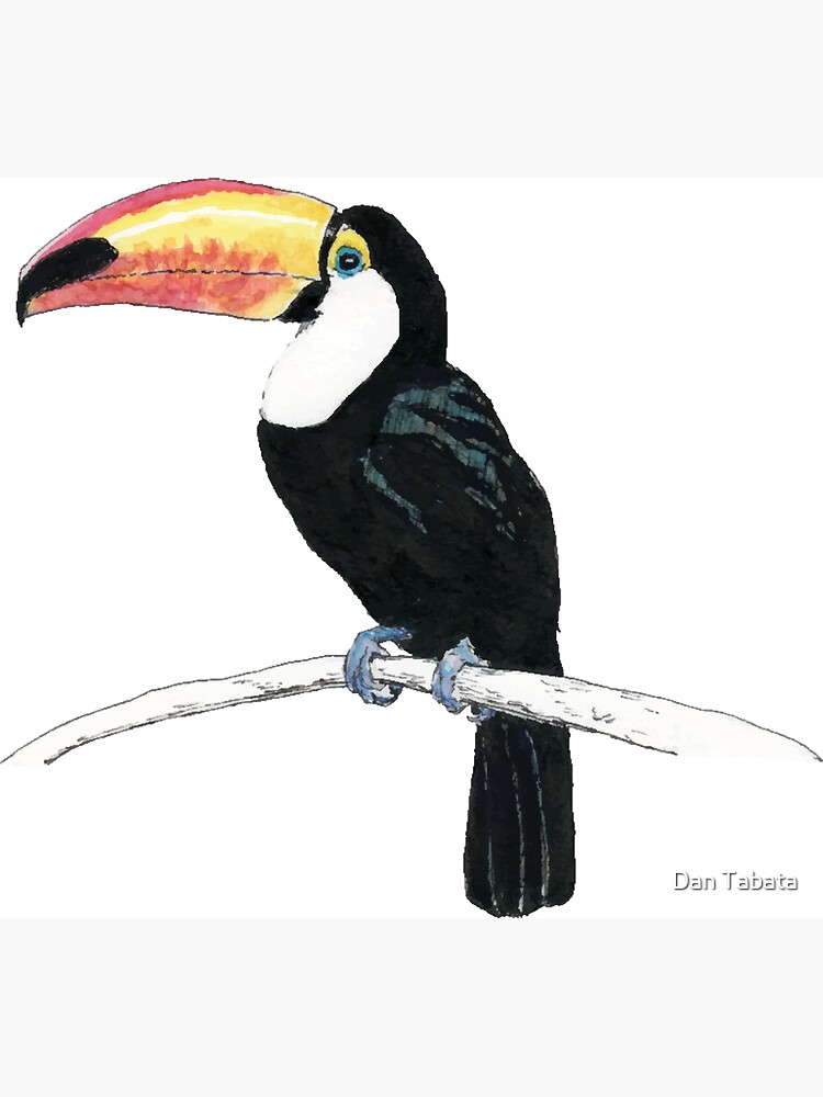 Toucan by dmtab