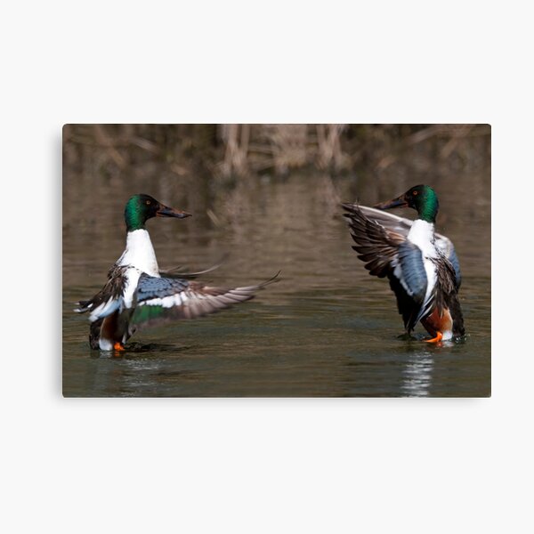 Dance To The Music! Canvas Print