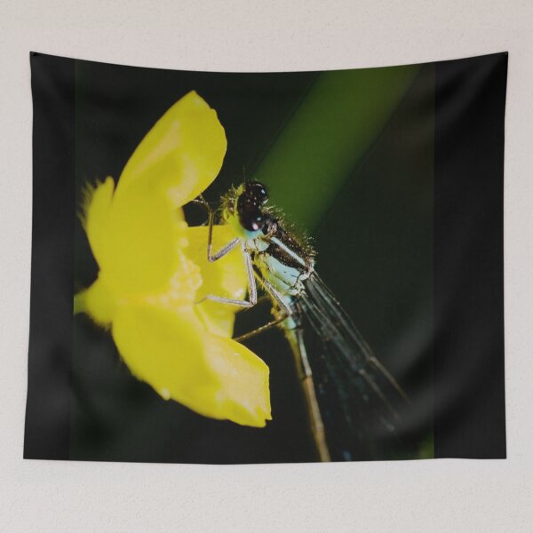 Item preview, AMBRÉ SOLAIRE  designed and sold by NICK COBURN PHILLIPS.