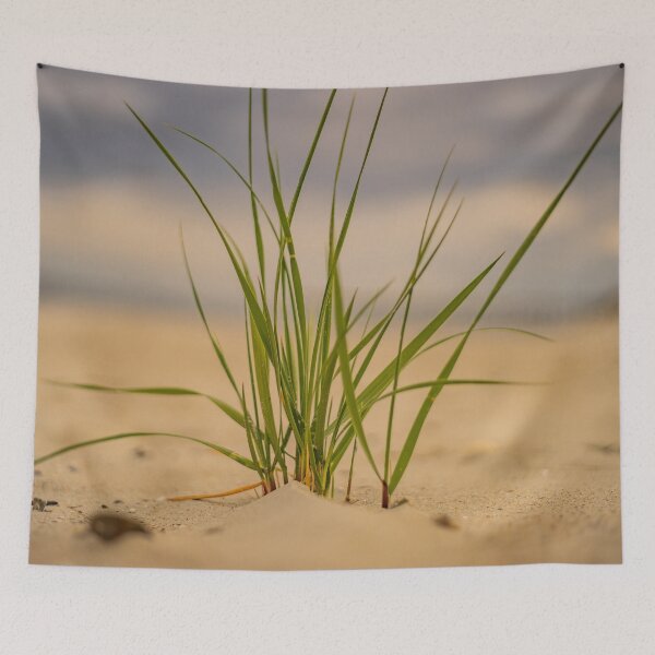 Item preview, dreaming of beach glass designed and sold by KensLensDesigns.