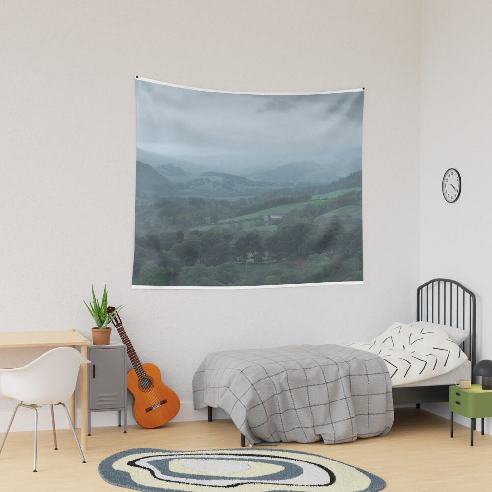 Item preview, Tapestry designed and sold by ShinyPhoto.