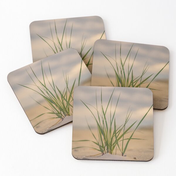 Item preview, Walkway and Beachgrass designed and sold by KensLensDesigns.