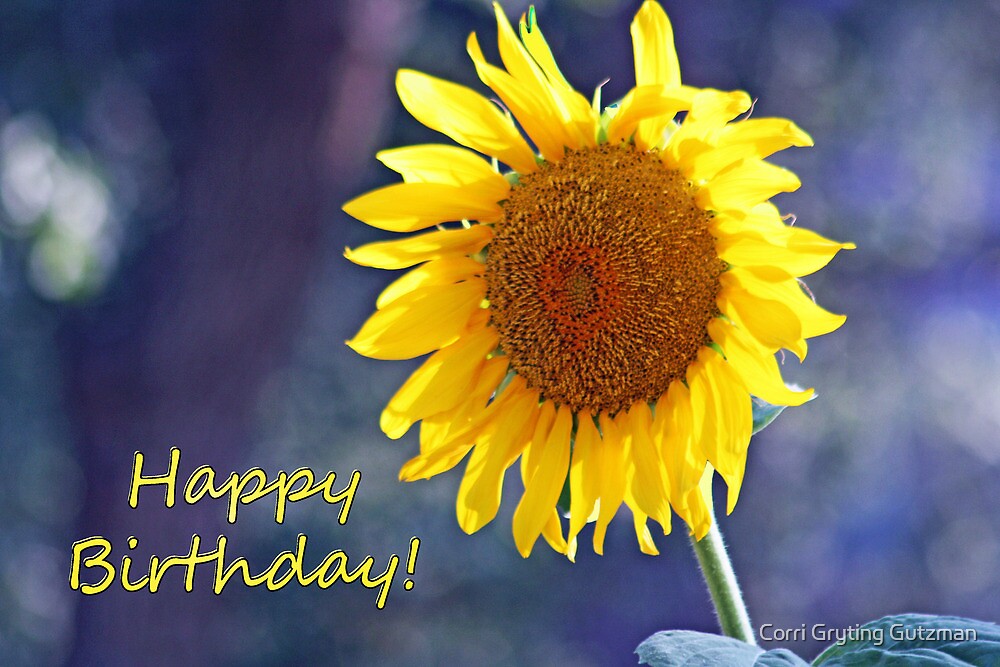  Sunflower Happy Birthday Card By Corri Gryting Gutzman Redbubble