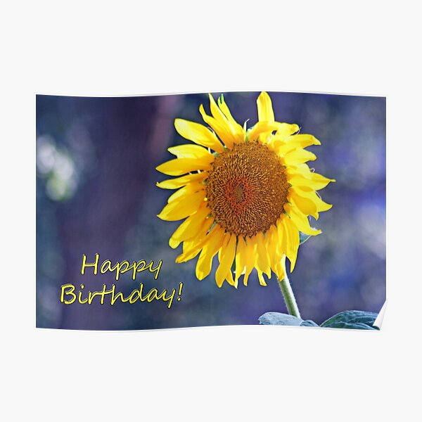 Sunflower Happy Birthday Card Poster
