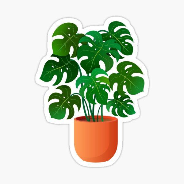 The Monstera Plant Sticker