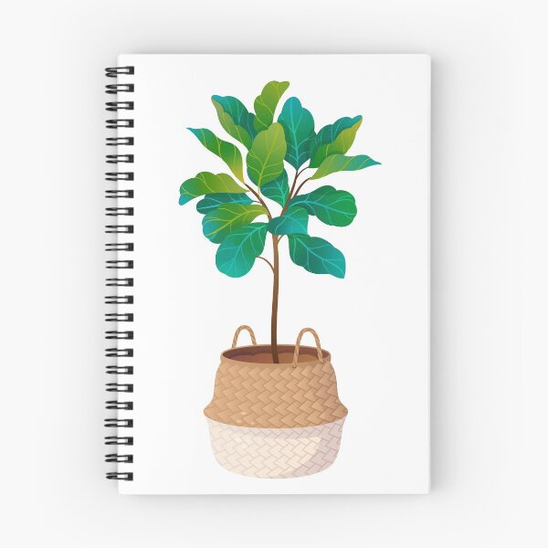 Item preview, Fiddle Leaf Fig Ficus Lyrata designed and sold by HearMeRoarDesignsCo.