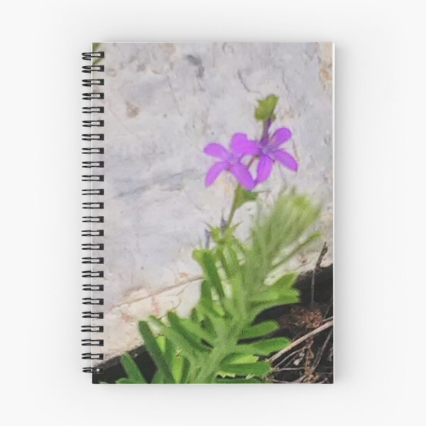 Item preview, Flora of Hochatown Lake designed and sold by StarTreader.