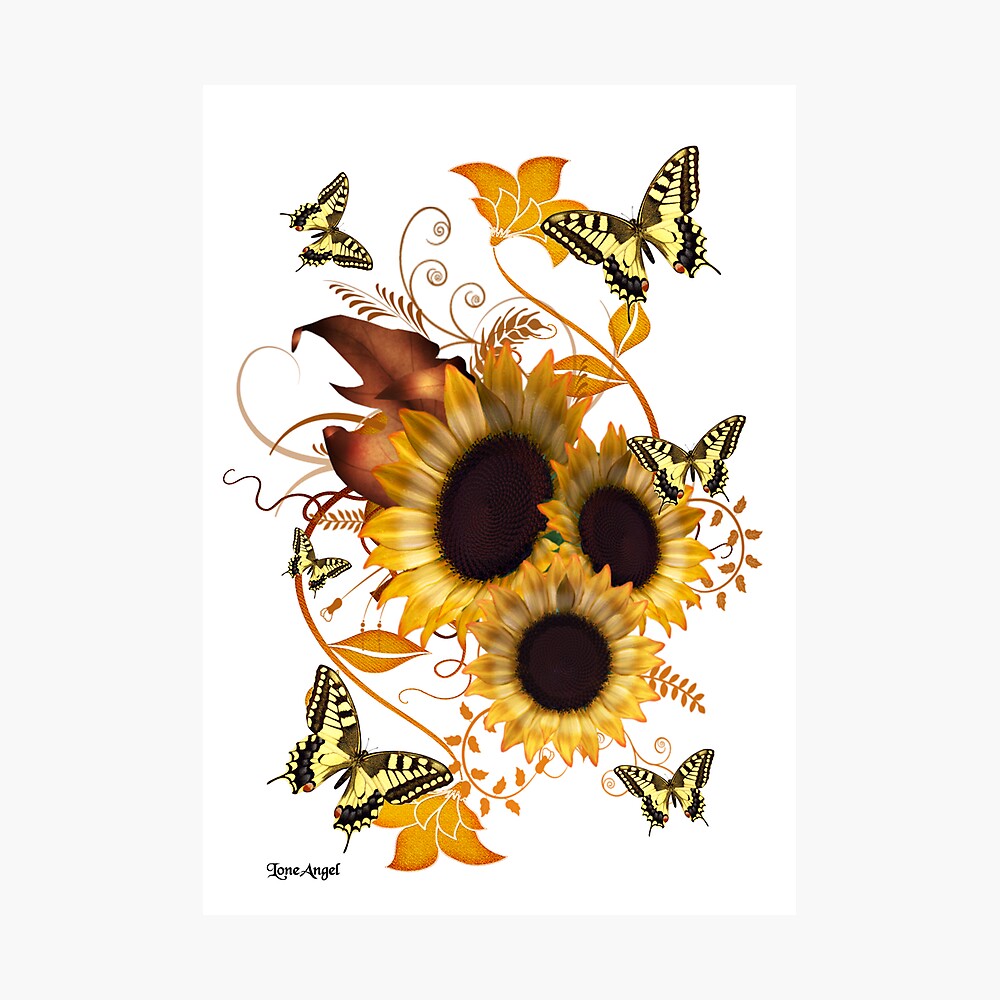 List 95+ Wallpaper Sunflower And Butterfly Wallpaper Updated