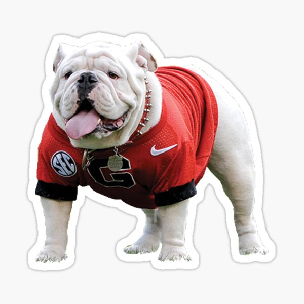 Georgia Bulldogs Stickers | Redbubble