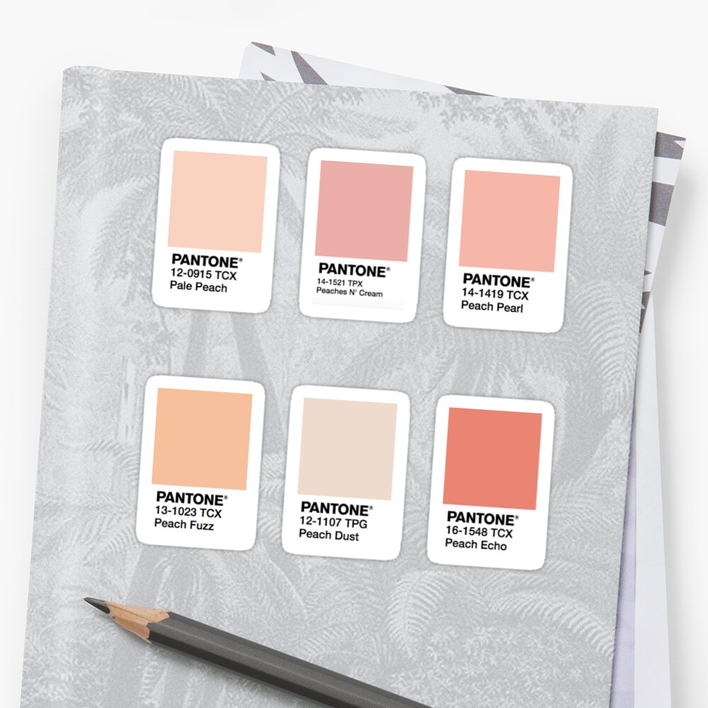 Peach Color Square Stickers Sticker By Rachziggs Redbubble