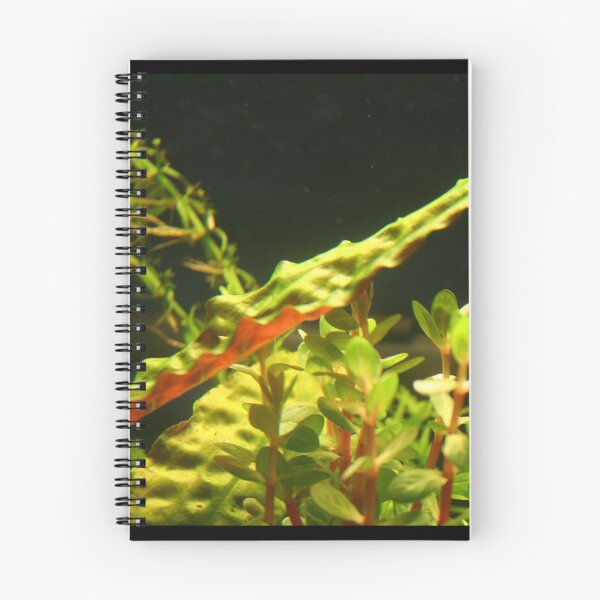 Item preview, Crypt Leaf - Aquatic Plant designed and sold by killies.