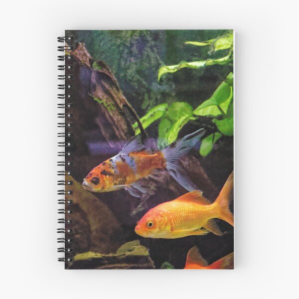 Item preview, Fish in Display in Dining Room 201920180422 0356 designed and sold by Fred Mitchell.