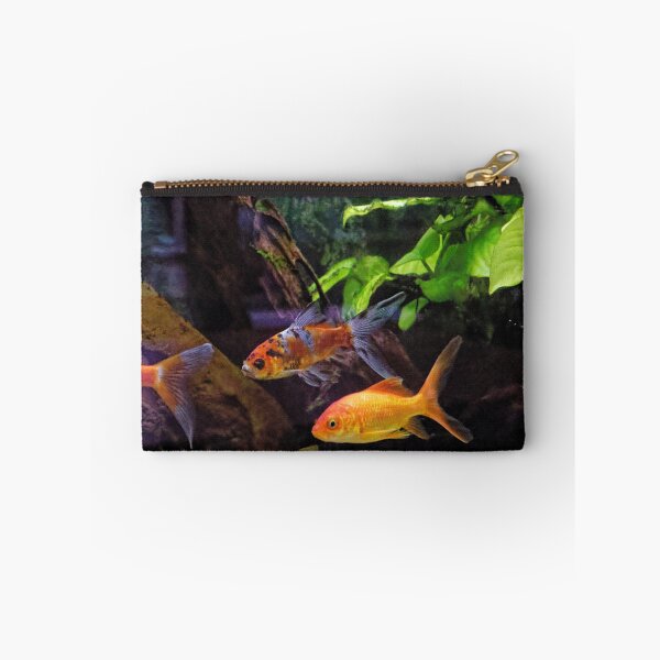 Item preview, Fish in Display in Dining Room 201920180422 0356 designed and sold by Fred Mitchell.