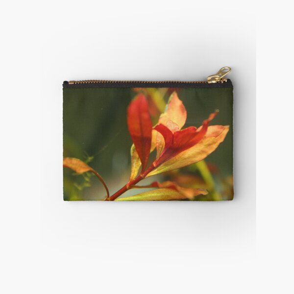 Item preview, Ludwigia Repens - Red Aquarium Plant designed and sold by killies.