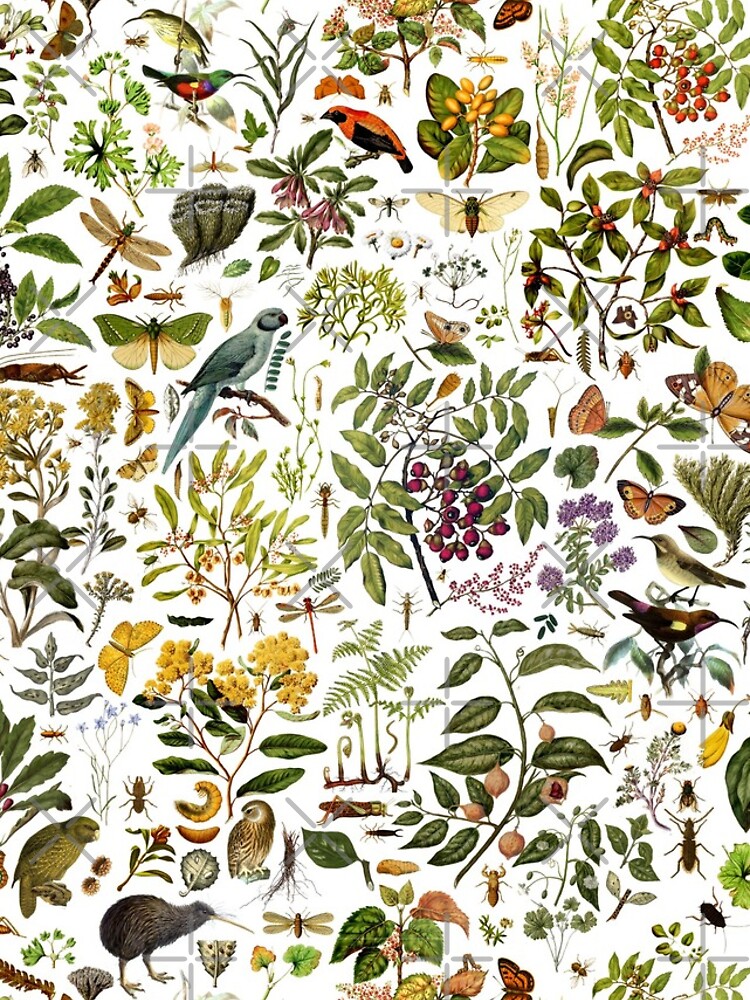 New Zealand Biology by rolphenstien