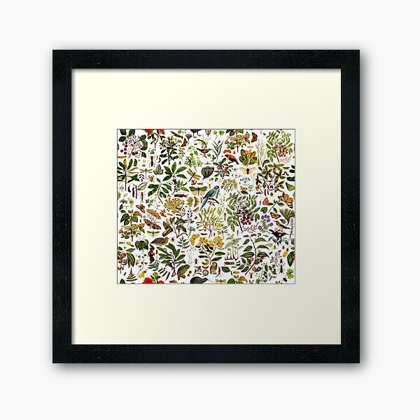 Item preview, New Zealand Biology designed and sold by Leo Rolph.