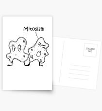 Mitose Postkarten