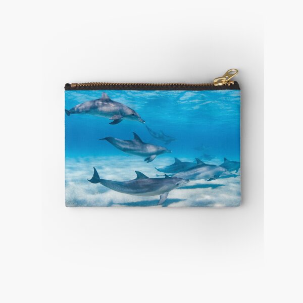 Item preview, dolphins designed and sold by Jesshaddenphoto.