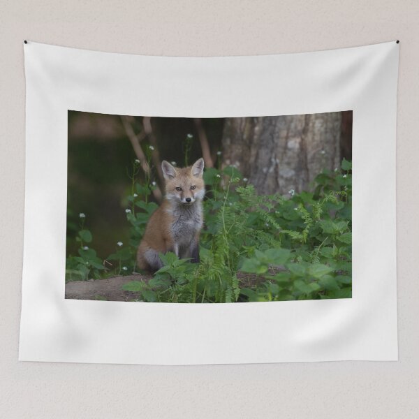 Item preview, Fox kit sitting by the den designed and sold by Rob Lavoie.