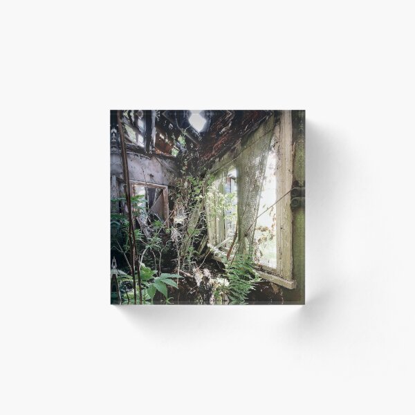 30.5.2019: Nature Takes Over Acrylic Block