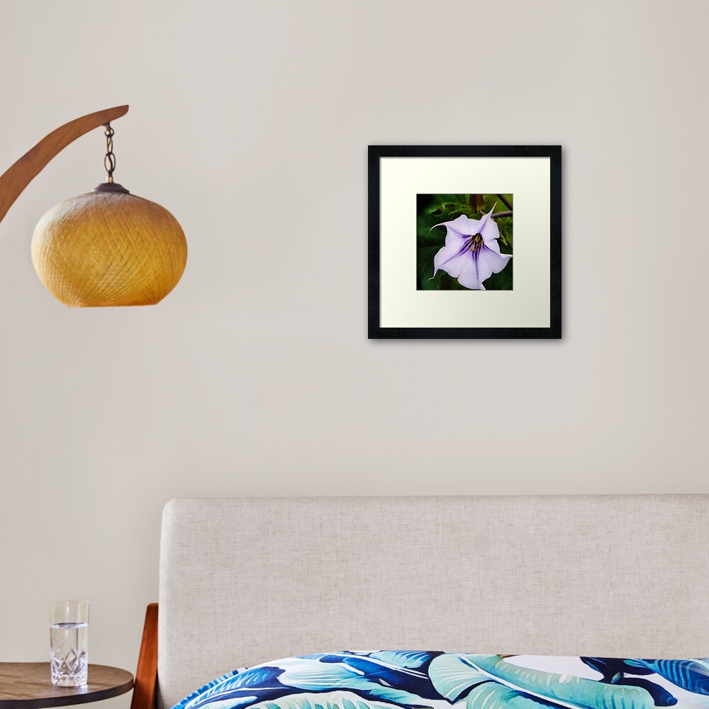 Deadly Framed Art Print